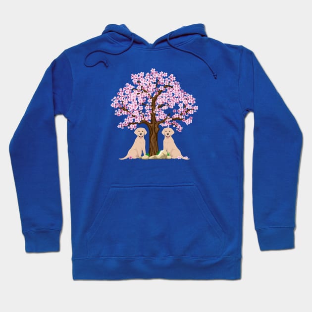 Labrador Retriever Sitting Under Spring Sakura Tree Hoodie by Seasonal Dogs